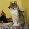 Отзыв от Елизавета Казакова